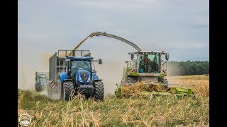 Mais häckseln // Claas Jaguar 860 , New Holland T7 , John Deere // LU: Lohse