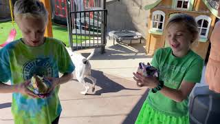 Leprechaun surprises kids for St. Patrick’s Day 2021