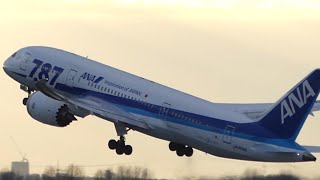 GRACEFUL | All Nippon Airways Boeing 787-8 Dreamliner takeoff at Düsseldorf Airport