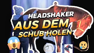 Headshaker - Aus dem Schub holen / Verhaltensmuster adaptieren