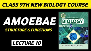 Amoeba class 9 | Biology class 9 chapter 1| Biology class 9