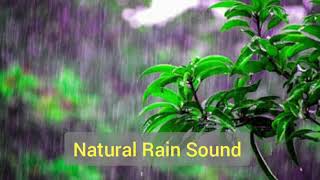 Rain Sound | Relaxing | Good sleep | Meditation | 30 minutes non-stop