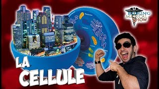 LA CELLULE : UNE VILLE MAGNIFIQUE - BMShow