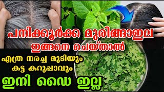 തൊട്ടാൽ മതി നര മാറി മുടി വളർത്താം/hair natural care /poppy vlogs /malayalam