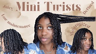 LOW MAINTENANCE MINI TWIST | NATURAL HAIR | PROTECTIVE STYLE