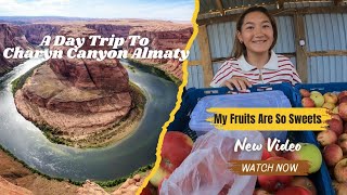 Beautiful Kazakhstan Lady Gave Me Sweet Fruit // A Day Trip To Charyn Canyon Almaty