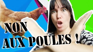 NON aux poules !  11 raisons de ne pas en adopter !