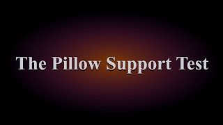 Buckwheat Pillow Support Test - PineTales®