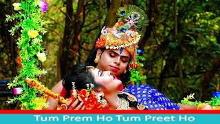 Tum Prem Ho Tum Preet Ho |  Radha Krishna Serial  Song Dance