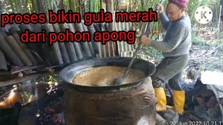 tkwmalaysia lihat pakci bikin gula apong atau gula nipa