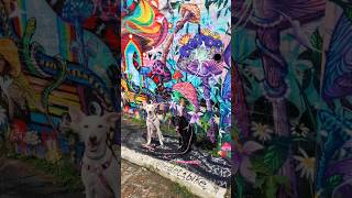 Fomos no Beco do Batman em Sampa. Uma galeria de arte à céu aberto. #cachorros #petfriendly #artes