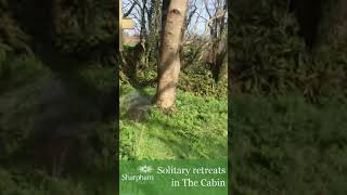 Solitary retreats in The Cabin, within the gardens of The Barn at The Sharpham Trust