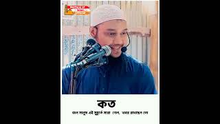 কতজন এই মুহূর্তে শহীদ হলেন , জানেন 🤔 🎙️Abu Toha Muhammad Adnan #shorts_abu_toha_adnan