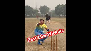 Best Lbw Wickets In Cricket History | Best Umpiring Decisions In Cricket Ever