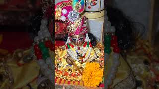 Shyama preet main #shyam #radheshyam #radhekrishna #khatushyam #laddugopal #delhi #viralvideo #song