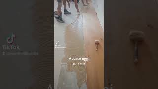 Parquet #wood #parquet #shortsvideo #milano #legno #italy #interiordesign