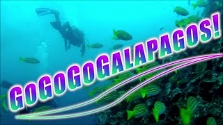 Motoventuring Ep 70 - GO-GO-GO-GALAPAGOS