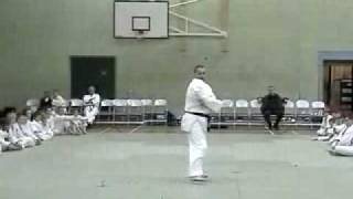 Kyushindo Karate