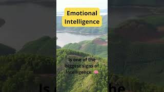 Emotional Intelligence: Understanding Your Emotions as a Superpower