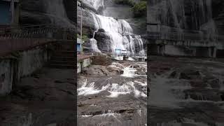 Coutrallam Falls #waterfalls #shorts