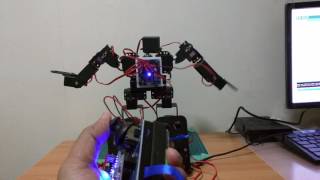 Arduino 17 DOF Biped Robot - Test 2 Controlled using nrf2402 wireless transmitter