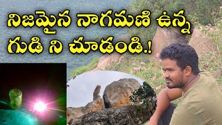 The Real snake stone(Nagamani) Temple Tour By Raju Allagadda