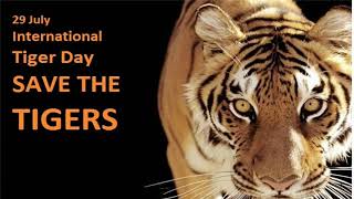 International Tiger Day Status/29 July Status/International Tiger Day Whatsapp Status 2021