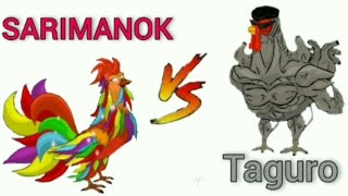 SARIMANOK vs TAGURO(Manok na pula comparison)