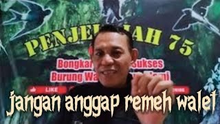 jangan anggap remeh kealamian walet..