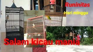 Kicau mania_runinitas hari minggu Ajarin burung dapt ajakan dari dulur kicau mania