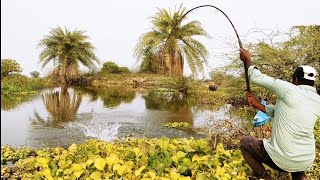 2 Days Fishing 🎣 Different Places in BiG ROHU Fishes to catching in Single Hook to catch Rice brown