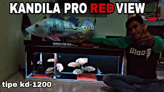 Lampu Aquarium VIEW Terbaik || KANDILA PRO RED VIEW .  Unboxing , Review , Test TANK 120 PEACOCKBASS