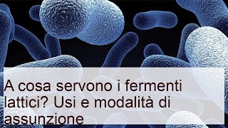 A cosa servono i fermenti lattici? Usi e modalità di assunzione