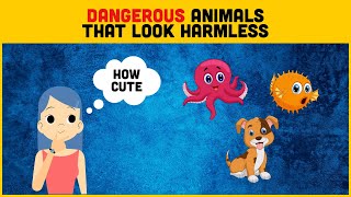 The Most Dangerous Animals That Look Harmless