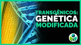 O LADO ESCURO DOS ALIMENTOS TRANSGÊNICOS