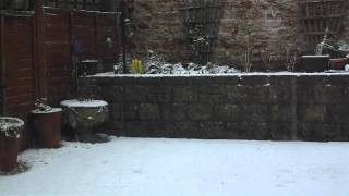 Wells Snow Timelapse 04/02/12