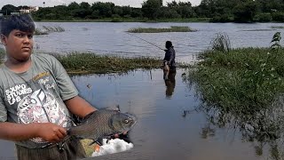 Man entered into water and fishing l Triple hook fishing l catching big fishes l #fishing