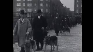 1934  Wandeling door Oud Amsterdam op weg naar de Hondenbeurs Hondententoonstelling in de Oude RAI