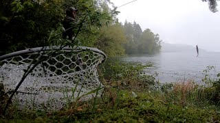 Pesca al lago di Suviana - Luccio sotto la pioggia