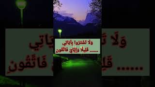 ٧ ديسمبر، ٢٠٢٤