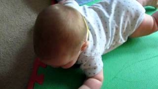 Marshall Starting to Crawl 2