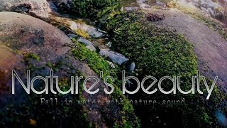 Relaxing Music with Nature Sounds-Waterfall | Beautiful Nature