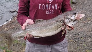 Big old lake trout putting up a fight!! #fishing #trout