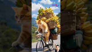 Sejak kapan kucing makan pisang 🍌😂😂 #kulinerfood #food #lucu #buah