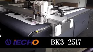 IECHO BK3_2517 with Camera for Printed Fabric 1