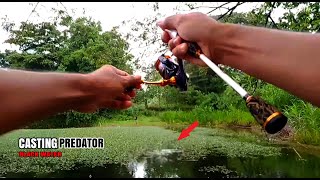 CASTING PENGHUNI BLACK WATER || banyak predatornya #17