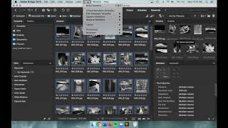 Creating Contact Sheets in Adobe Bridge Tutorial