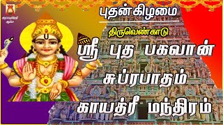 WEDNESDAY SPL | THIRUVENKADU | SRI BUDHA BHAGAVAN SUPRABHATHAM | BUDHA PARIHARA STHALAM | NAVAGRAHAM