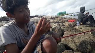 Mancing Ikan Sangsit Di Pantai Sindu