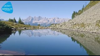 Sommer auf der Reiteralm!